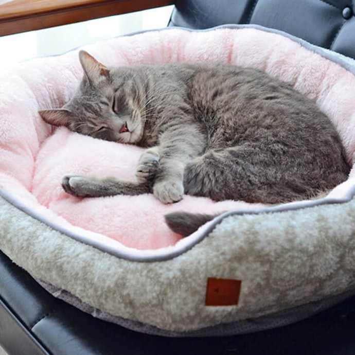 tempat tidur kucing hangat